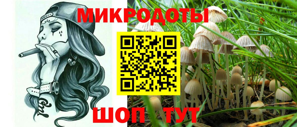 Павловский Посад  Псилоцибиновые грибы прущие грибы  Вход с VPN 
